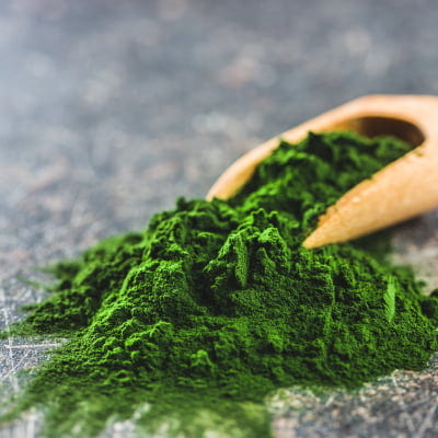 chlorella-powder